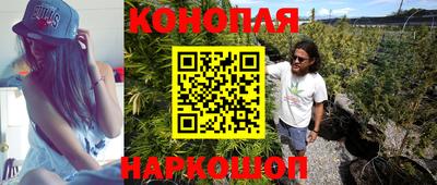 крисы Белорецк